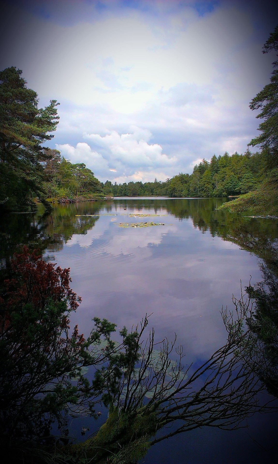High Dam in Summer