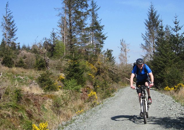 morecambe bay cycle route