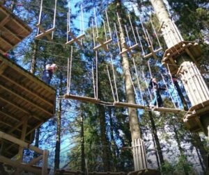 Grizedale ropes
